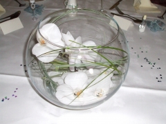 Phylanopsis Wedding Aug 08 (6)